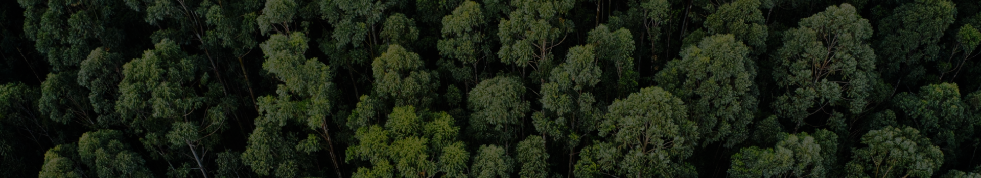 Mestrado  Acadêmico do Programa de Pós-Graduação em Desenvolvimento Regional e Sustentabilidade na Amazônia (PPGDRSA) é Presencial e Integral 